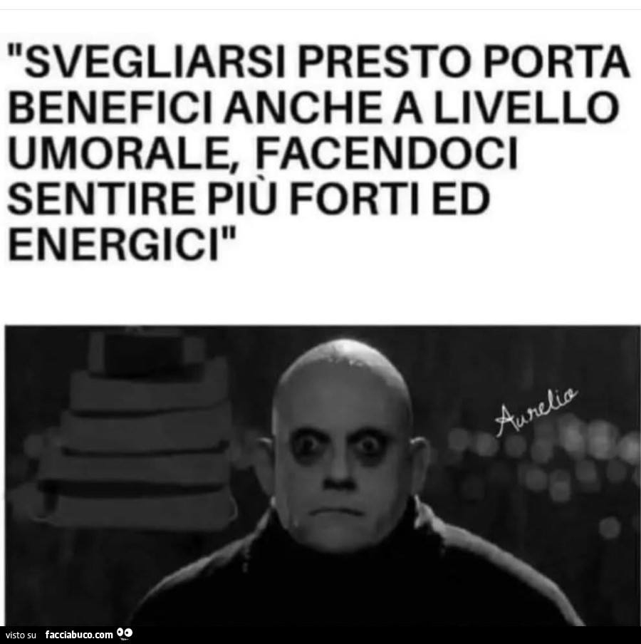 Vaccata
