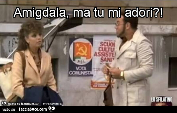 Amigdala, ma tu mi adori?