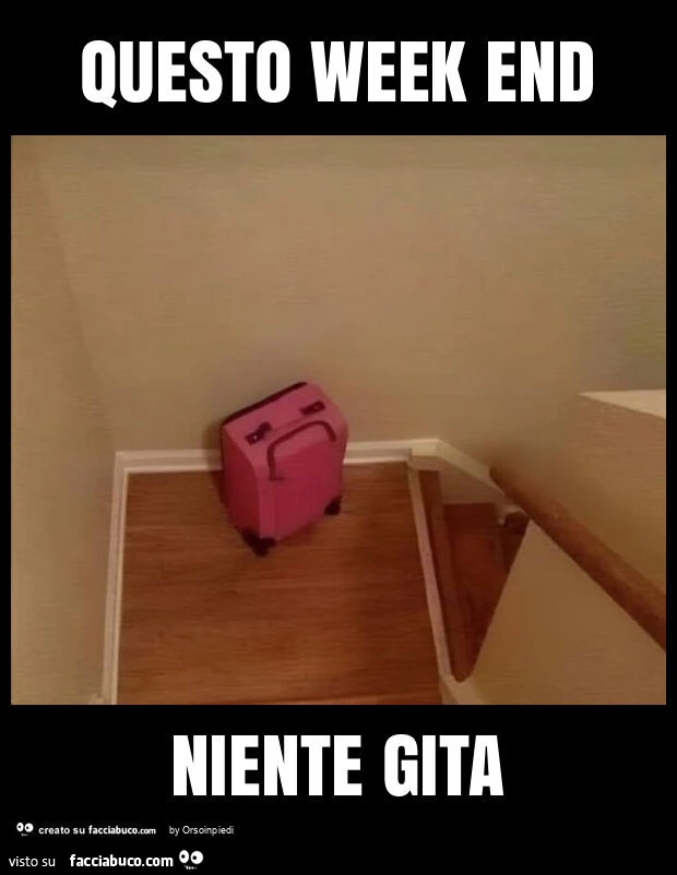 Questo week end niente gita