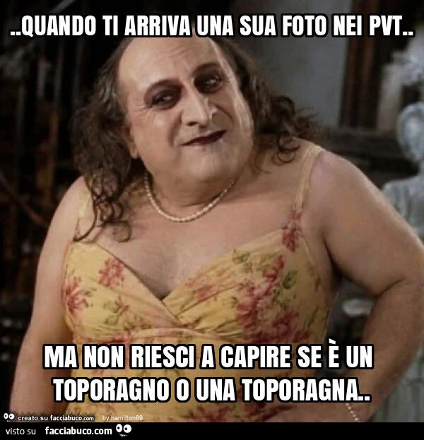 Quando ti arriva una sua foto nei pvt. Ma non riesci a capire se รจ un toporagno o una toporagna