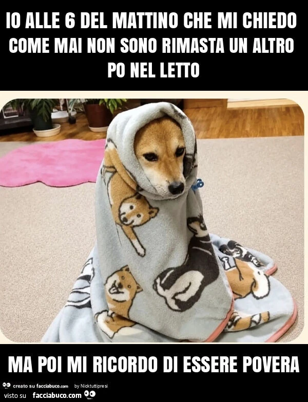 Io alle 6 del mattino che mi chiedo come mai non sono rimasta un altro po nel letto ma poi mi ricordo di essere povera