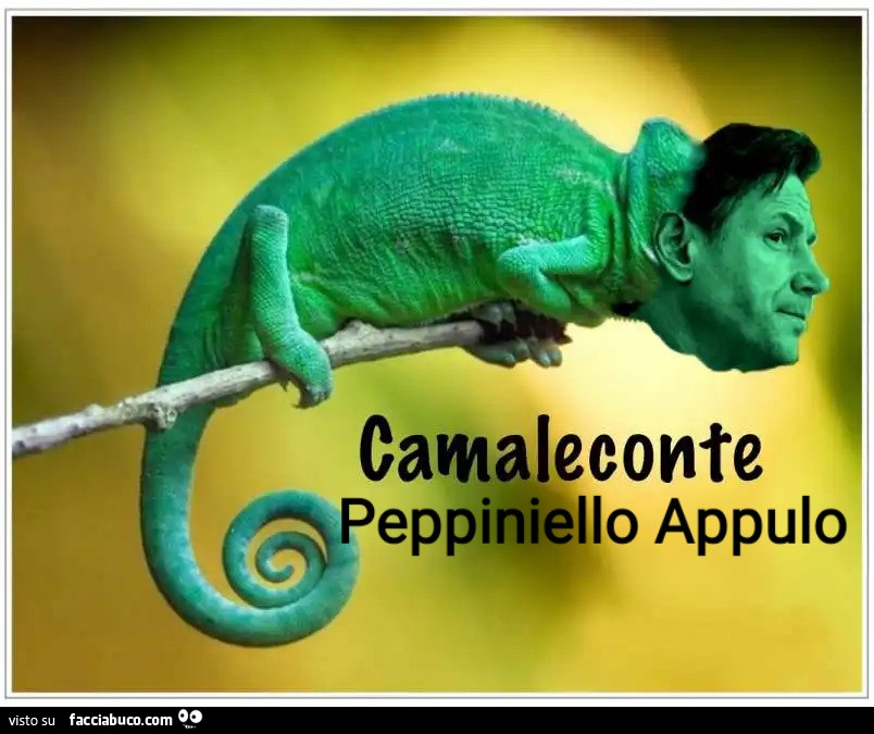 Camaleonte