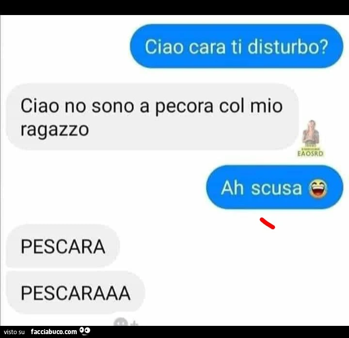 Vaccata