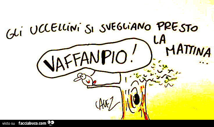 Cavez. Gli uccellini si svegliano presto la mattina… Vaffanpio