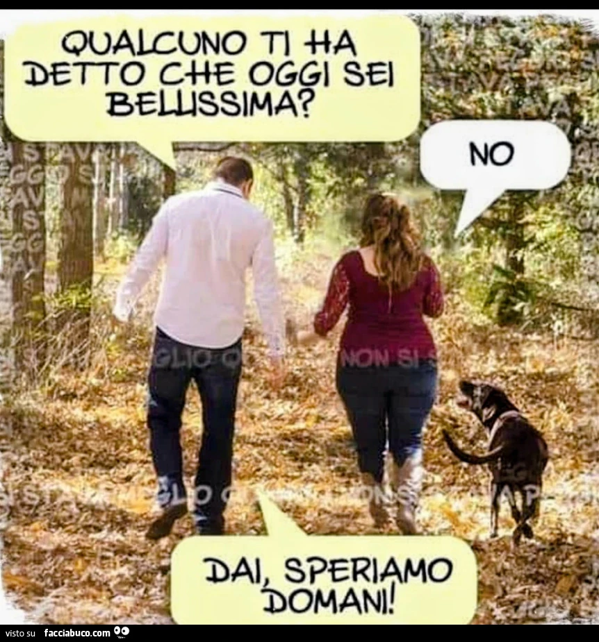 Bellissima