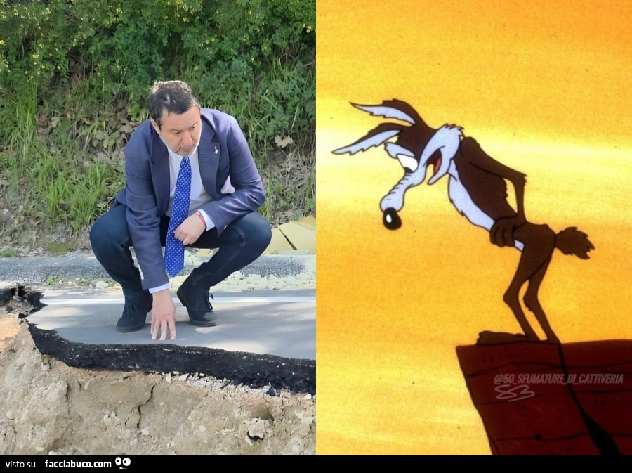 Salvini willy coyote