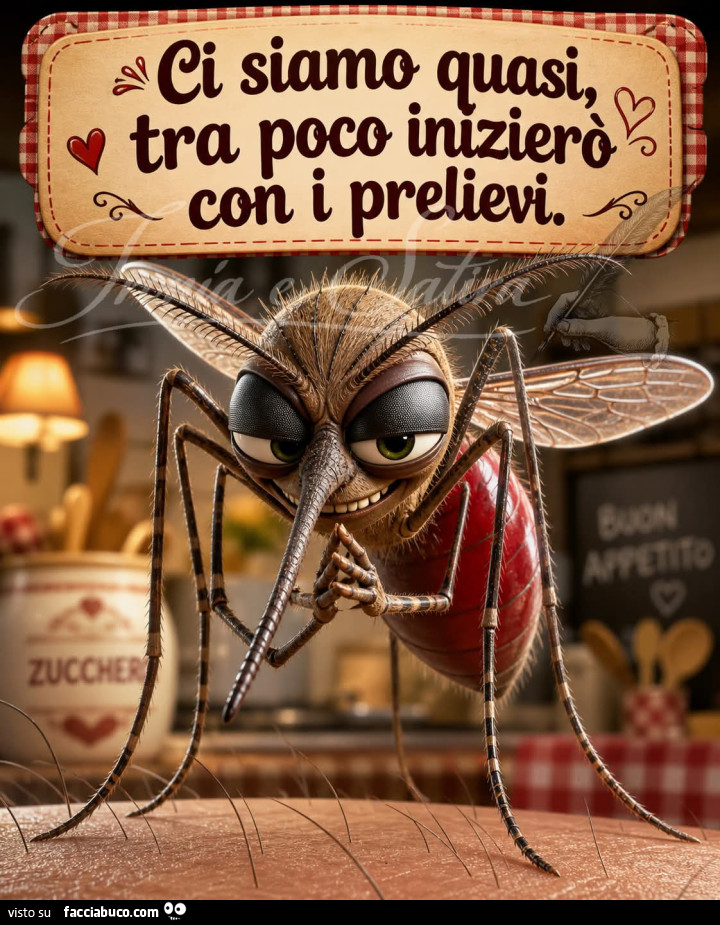 Vaccata