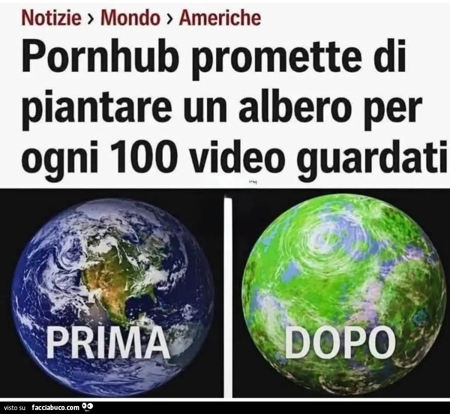 Pornhub promette di piantare un albero per ogni 100 video guardati prima dopo