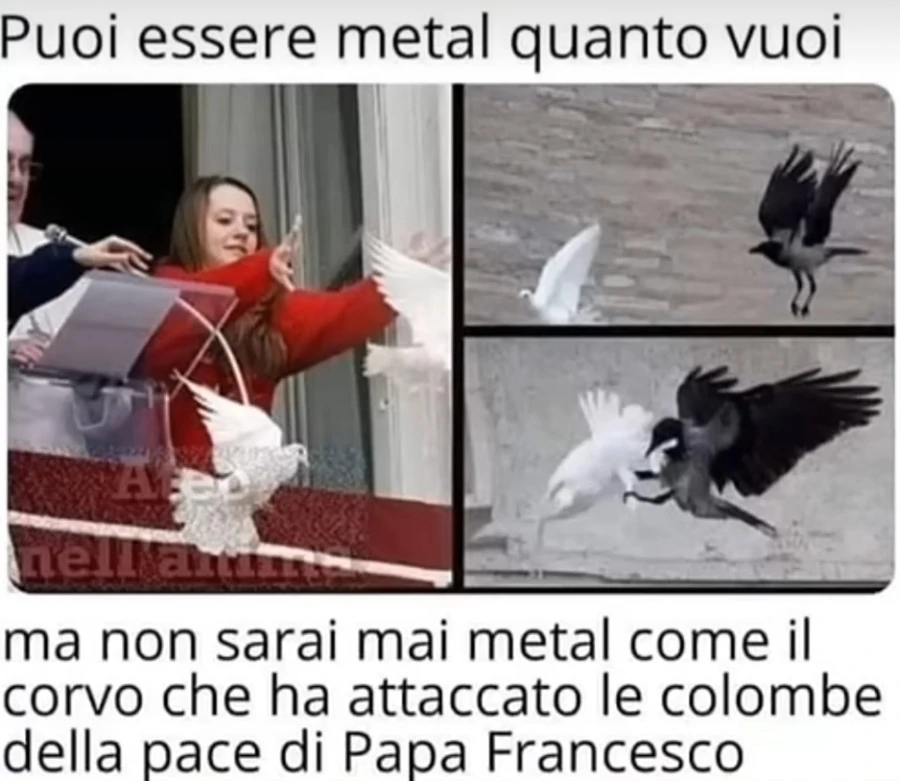 Vaccata