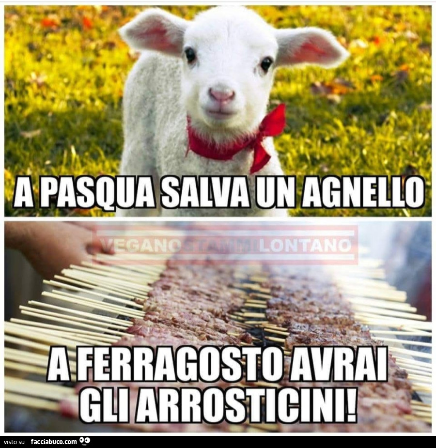 A pasqua salva un agnello a ferragosto avrai gli arrosticini