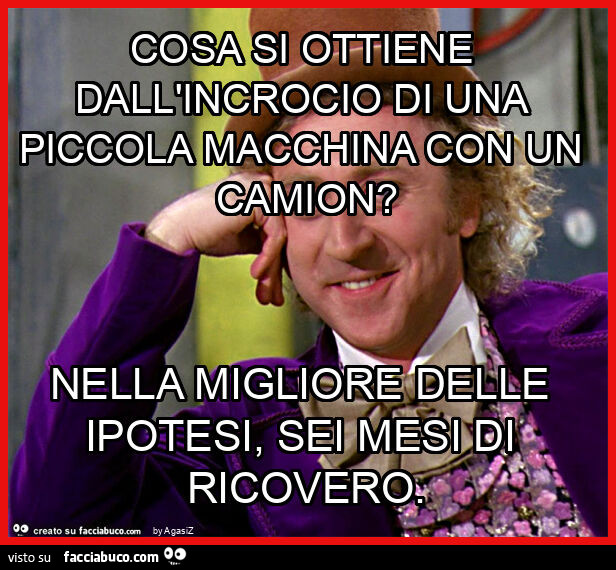 Cosa si ottiene dall'incrocio di una piccola macchina con un camion? Nella migliore delle ipotesi, sei mesi di ricovero