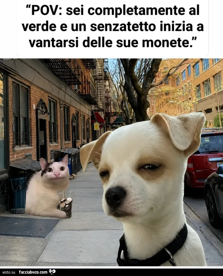 Vaccata