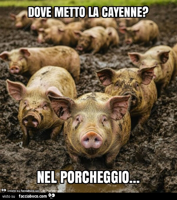 Dove metto la cayenne? Nel porcheggio