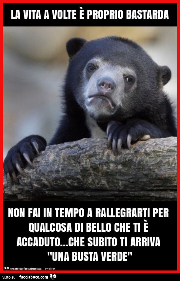 La vita a volte è proprio bastarda non fai in tempo a rallegrarti per qualcosa di bello che ti è accaduto&hellip; che subito ti arriva "una busta verde"