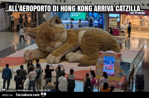 All'aeroporto di hong kong arriva catzilla