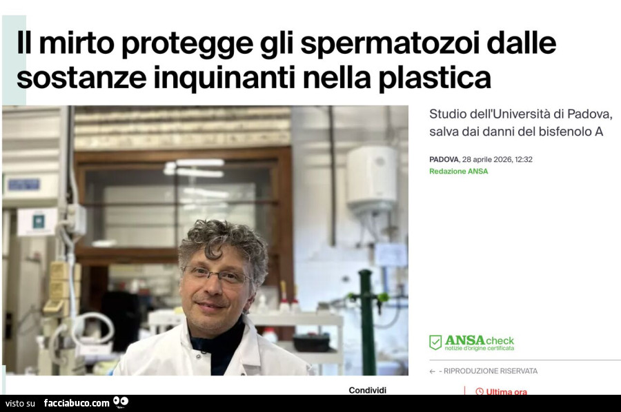 Vaccata