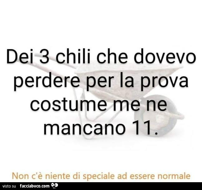 Dei 3 chili che dovevo perdere per la prova costume me ne mancano 11