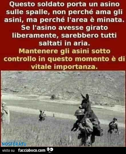 Mantenere gli asini sotto controllo