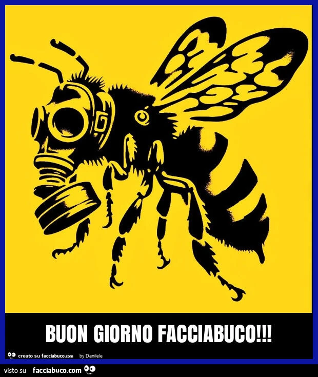 Buon giorno facciabuco