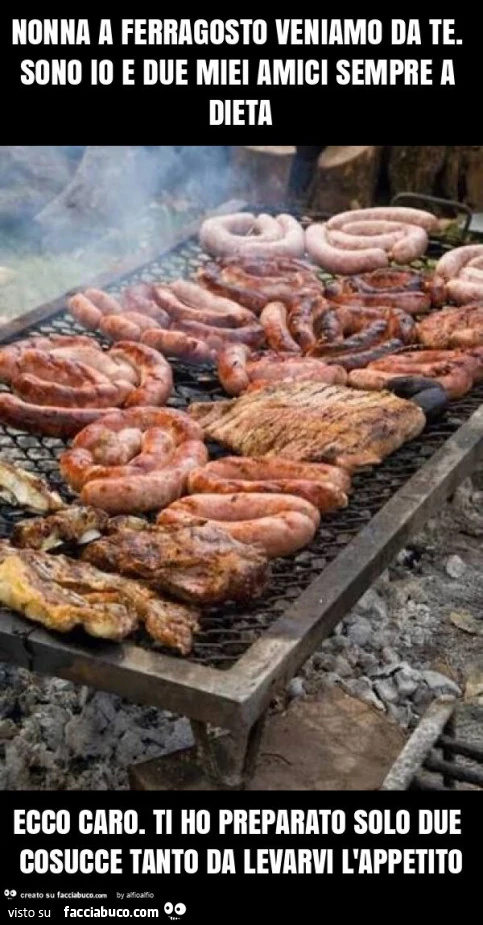 Nonna a ferragosto veniamo da te. Sono io e due miei amici sempre a dieta ecco caro. Ti ho preparato solo due cosucce tanto da levarvi l'appetito