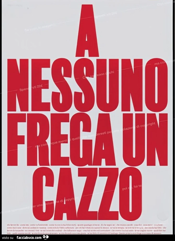 Menefreghismo
