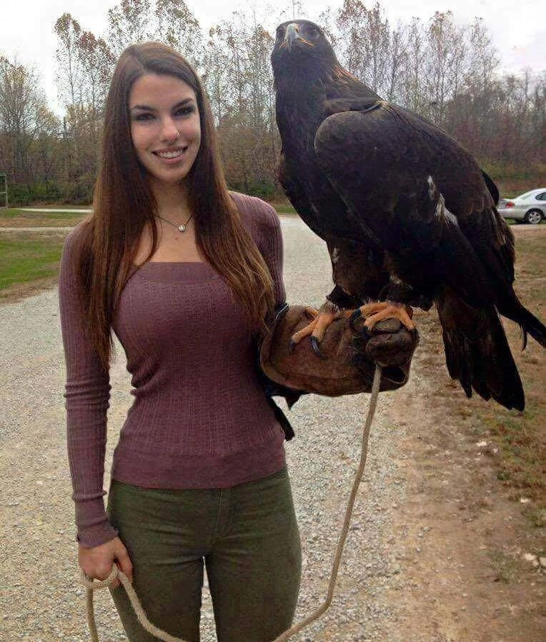 Uccelli
