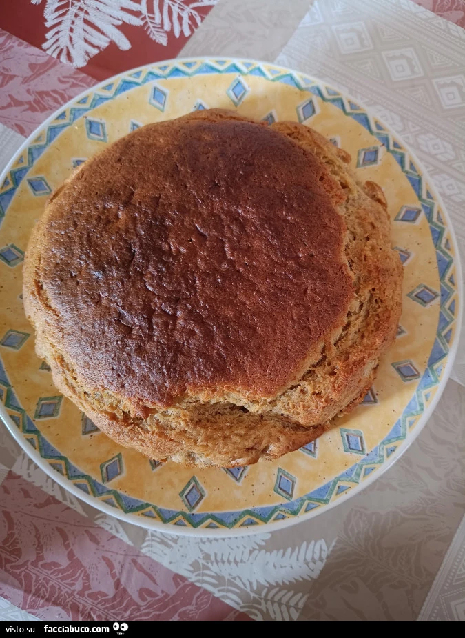 Vaccata