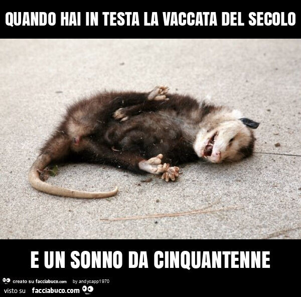 Quando hai in testa la vaccata del secolo e un sonno da cinquantenne