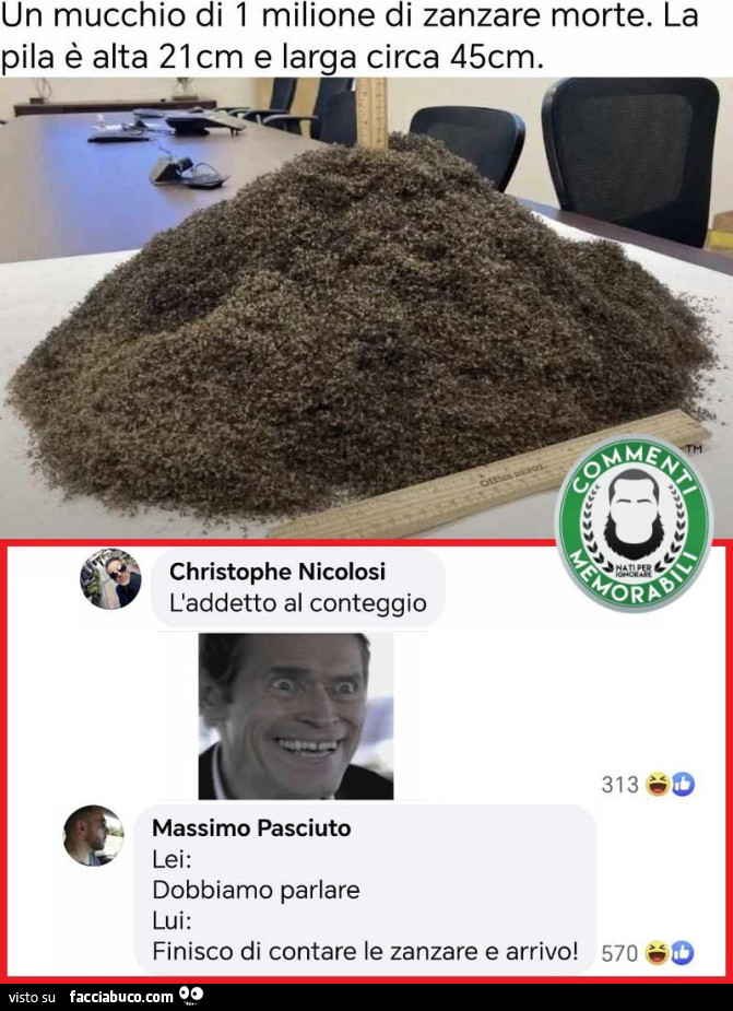 Vaccata