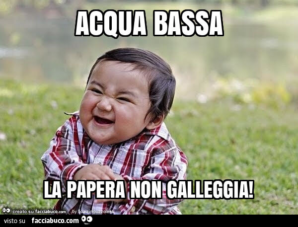 Acqua bassa la papera non galleggia