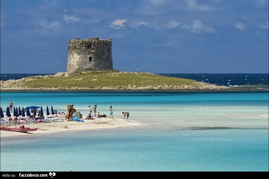 Sardegna