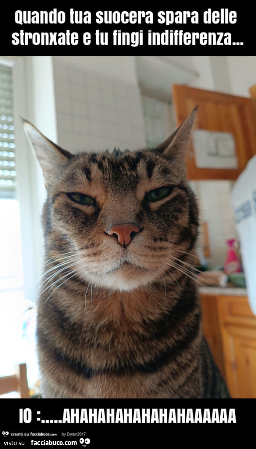 Quando tua suocera spara delle stronxate e tu fingi indifferenza&hellip; io: &hellip; ahahahahahahahaaaaaa