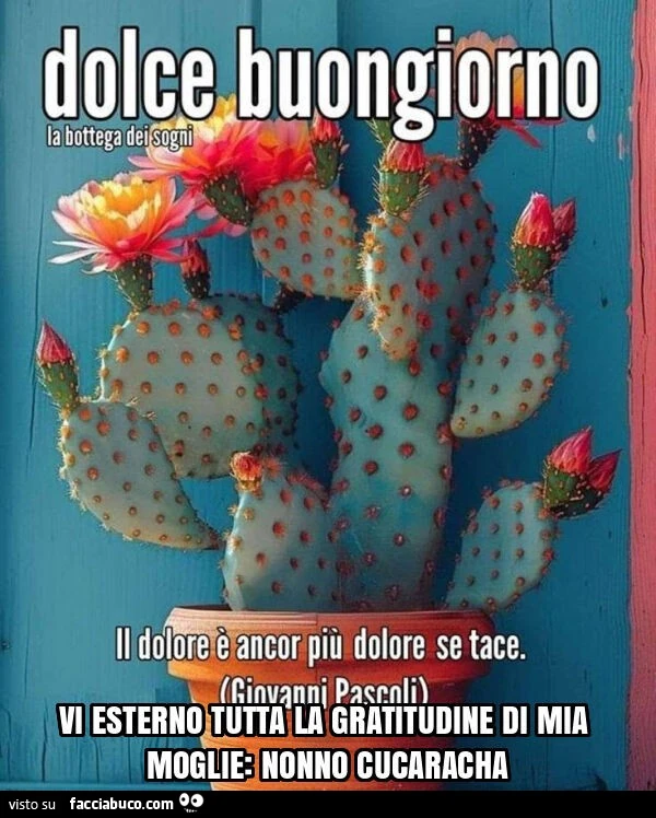 Vaccata