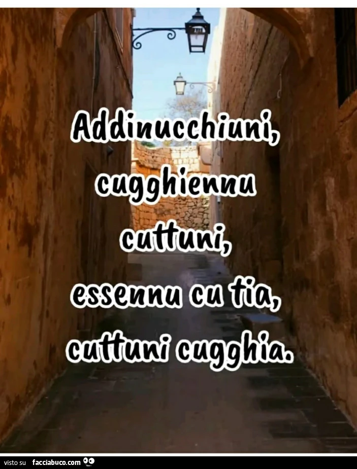 Vaccata