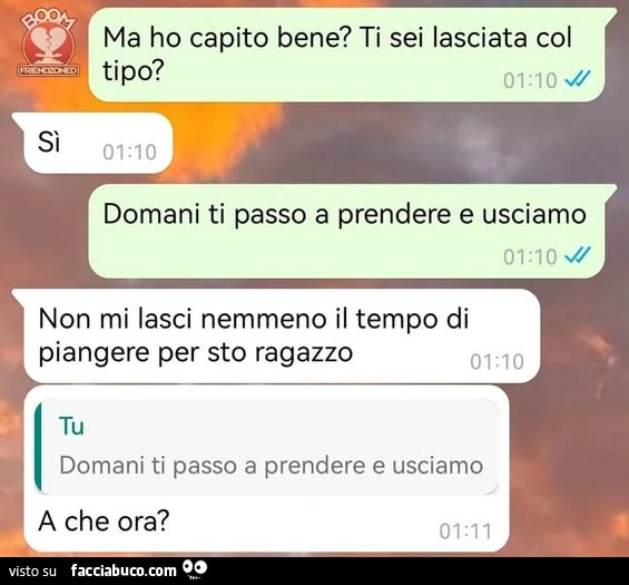 Vaccata