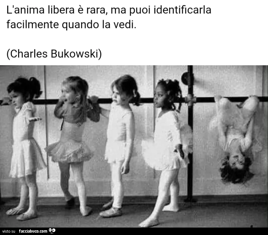 L'anima libera è rara, ma puoi identificarla facilmente quando la vedi. (Charles Bukowski)