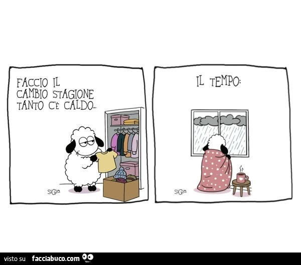 Faccio il cambio stagione tanto c'è caldo. Il tempo