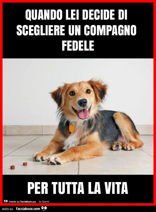 Quando lei decide di scegliere un compagno fedele per tutta la vita