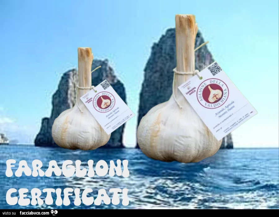 Vaccata