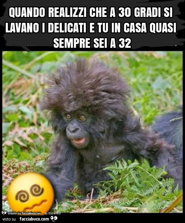 Quando realizzi che a 30 gradi si lavano i delicati e tu in casa quasi sempre sei a 32
