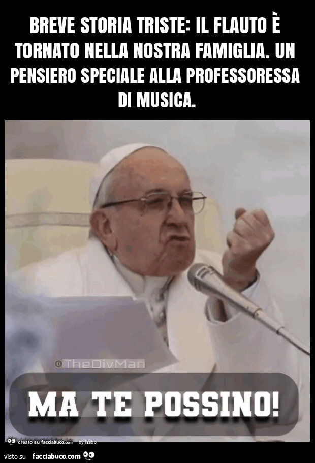 Breve storia triste: il flauto è tornato nella nostra famiglia. Un pensiero speciale alla professoressa di musica