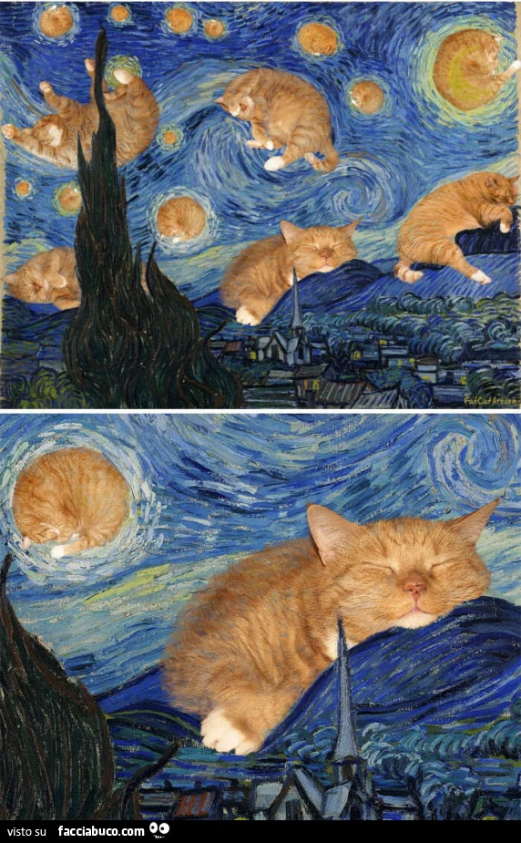 Un gatto rosso sta bene dappertutto. Svetlana Petrova ce lo mostra attraverso Fat Cat Art, il suo originale progetto dedicato al gatto Zarathustra