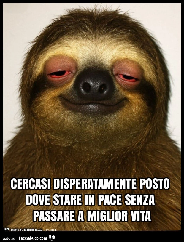 Cercasi disperatamente posto dove stare in pace senza passare a miglior vita
