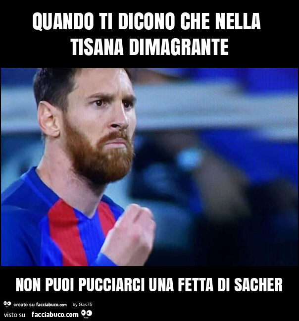Quando ti dicono che nella tisana dimagrante non puoi pucciarci una fetta di sacher