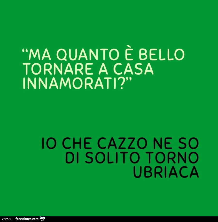 Ma quanto è bello tornare a casa innamorati? Io che cazzo ne so di solito torno ubriaca