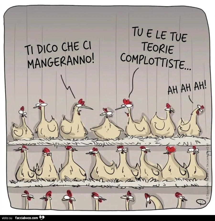 Vaccata