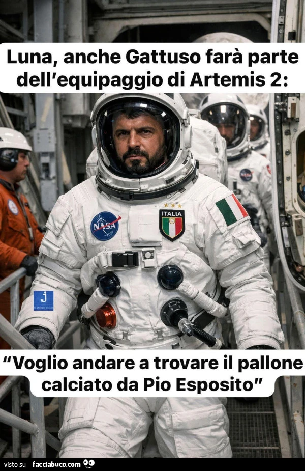 Vaccata