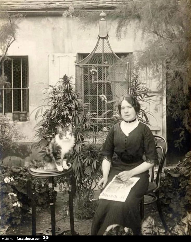 Una donna parigina con il suo gatto nel suo giardino di cannabis, 1910