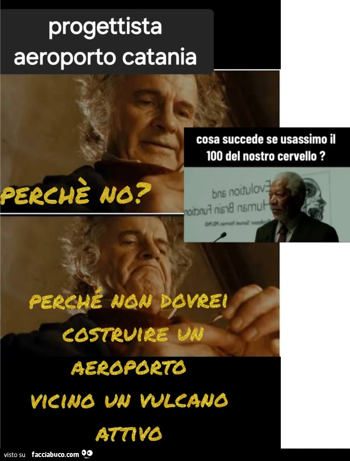 Vaccata