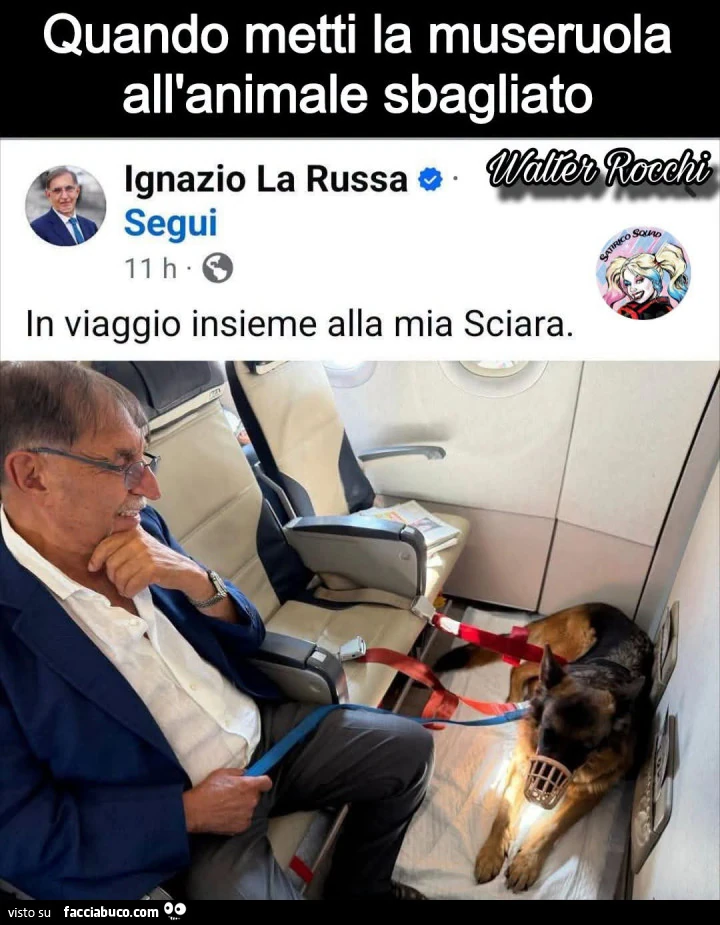Vaccata